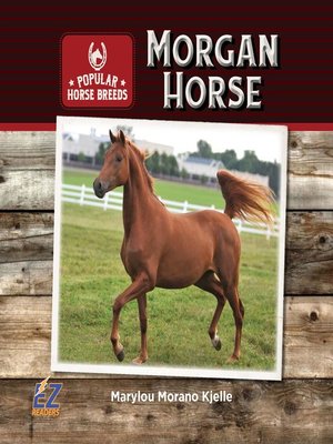 cover image of Morgan Horse